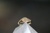 Petite Initial Signet Ring with Side Rubies Yellow Gold